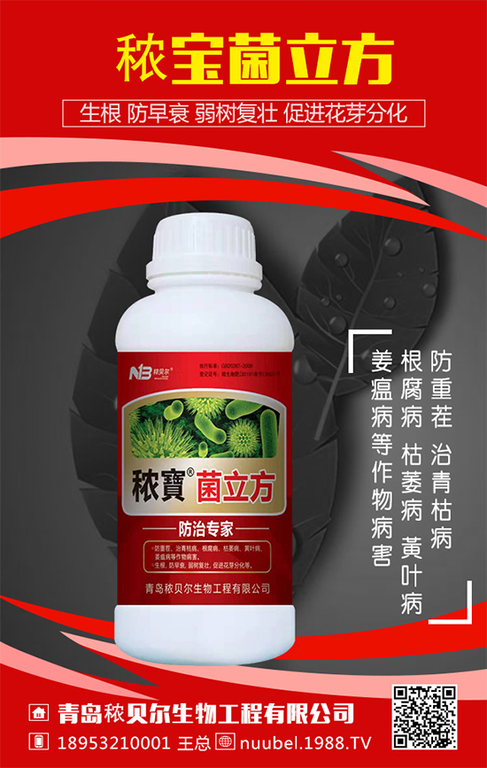 ���J��ô���N���������J�Ĳ��N���������L�^����