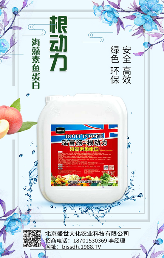 ��֦���L�h(hu��n)��Ҫ������֦��޽ӷ�����ʩ��ԭ�t��