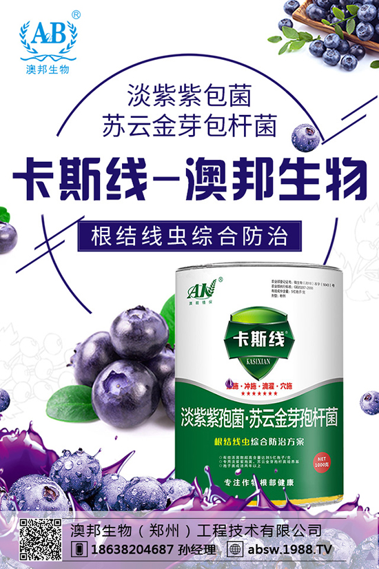 ���ײ��N������������������x�N�����ײ��Nע�������