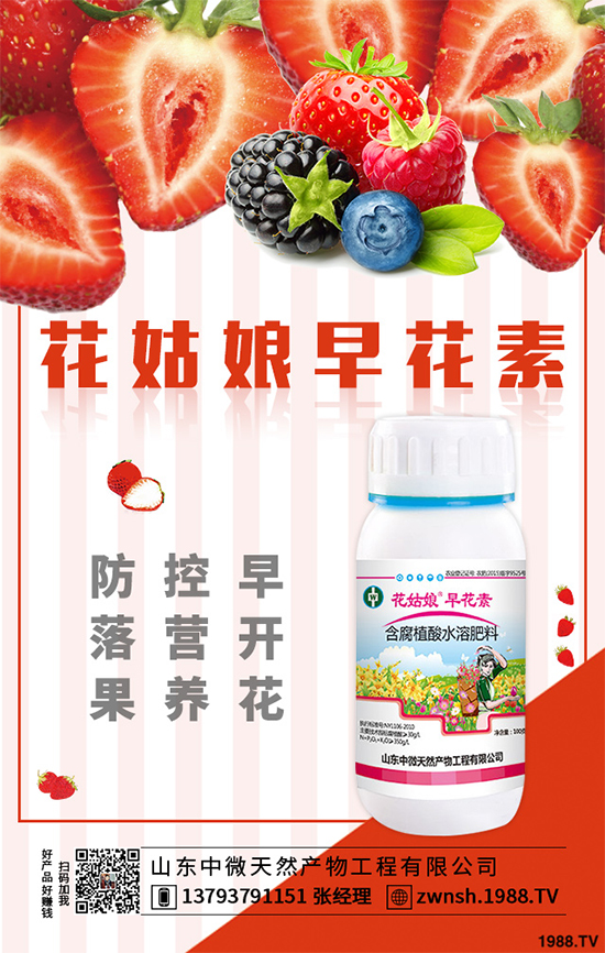 尿素價(jià)格行情走勢