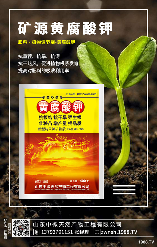 ����(n��i)⛷ʃr(ji��)��������(b��o)