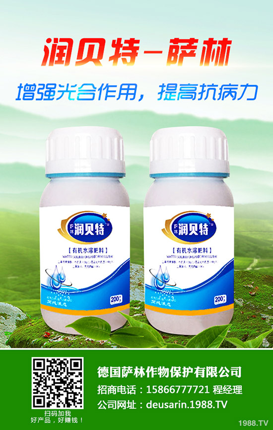 ��ۘ���ô�B(y��ng)����ۘ���B(y��ng)ֳ������ע�����