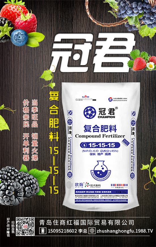 ���Ǥ��Nֲ���K�����K�Nֲע�������