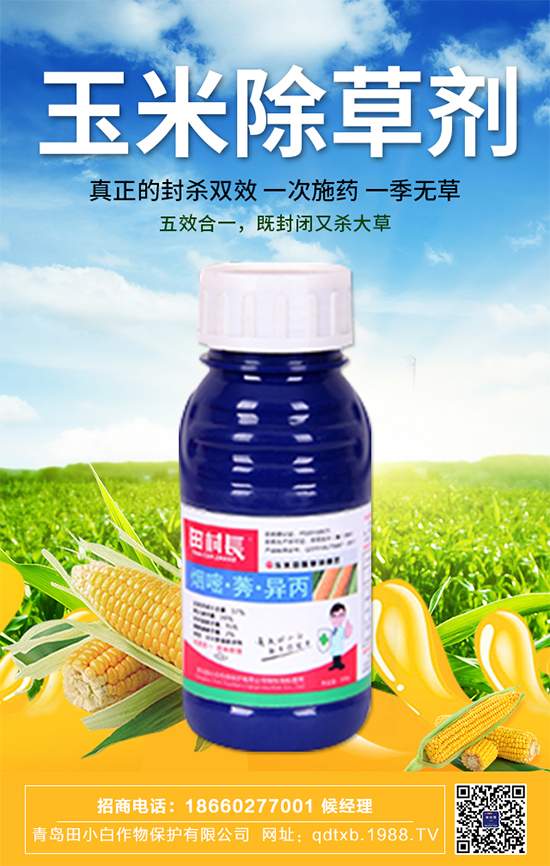 玉米種子拌種有什么作用?玉米苗期管理要點(diǎn)!