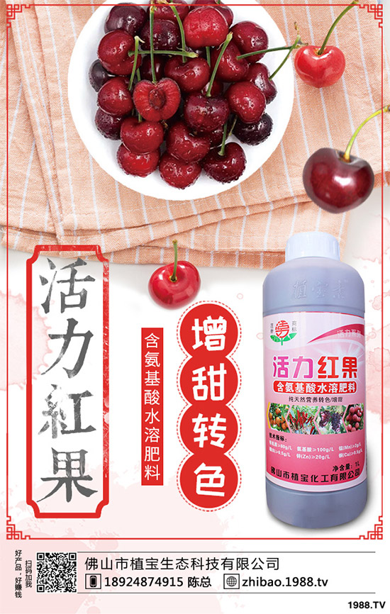     һ�@ӆ�����@�������������@�r(ji��)�������Ո�(b��o)