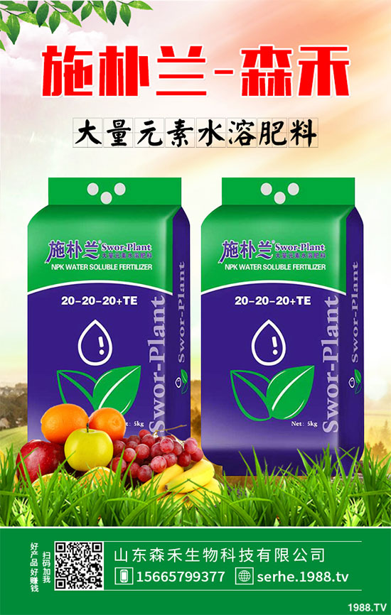 �R���r(ji��)�񲻔����ߣ��ܷ��^�m(x��)��(ji��n)ͦ��2020���R����Nֲǰ������