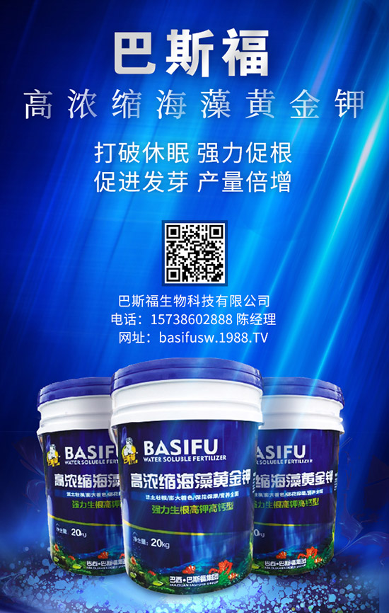 ����ʩ�ʵĸ��ѕr�g��ɶ�r�� զ��ʩЧ������