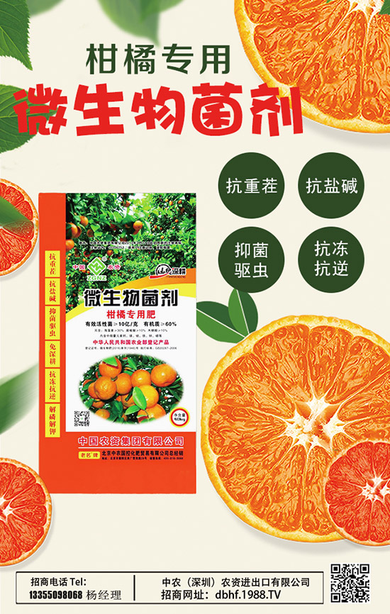 2020山藥價(jià)格多少錢一斤?種植前景如何?山藥種植高產(chǎn)管理技術(shù)!