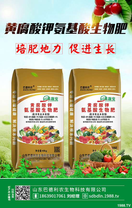 玉木耳和黑木耳區(qū)別有哪些??jī)烧吣膫(gè)營(yíng)養(yǎng)價(jià)值更高?功效有哪些?