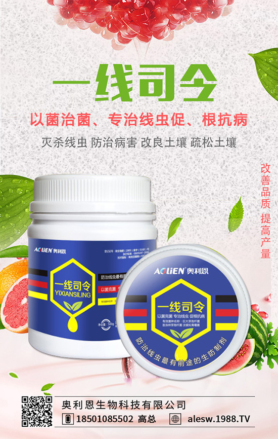 ���X����ô�B(y��ng)�����X���B(y��ng)ֳ��������Щ��