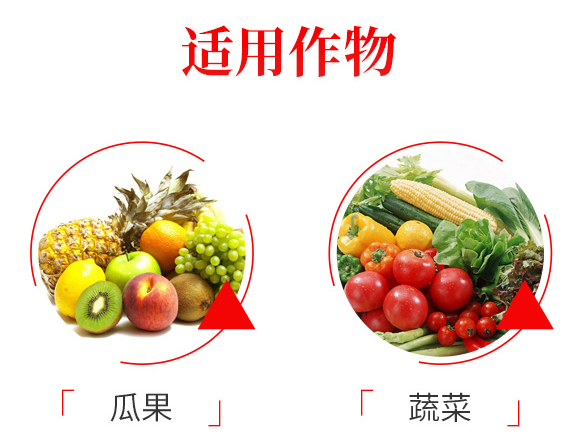 �����-�ο�ֲ��_05