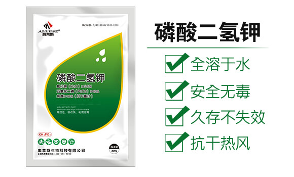 ��������-�W�R˹_02