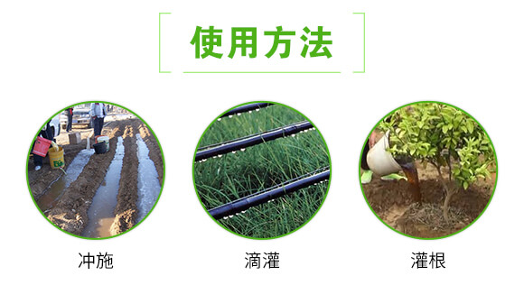 �ݲ�ѿ�ߗU��-�����K�Y(ji��)-(li��n)��μ�_05