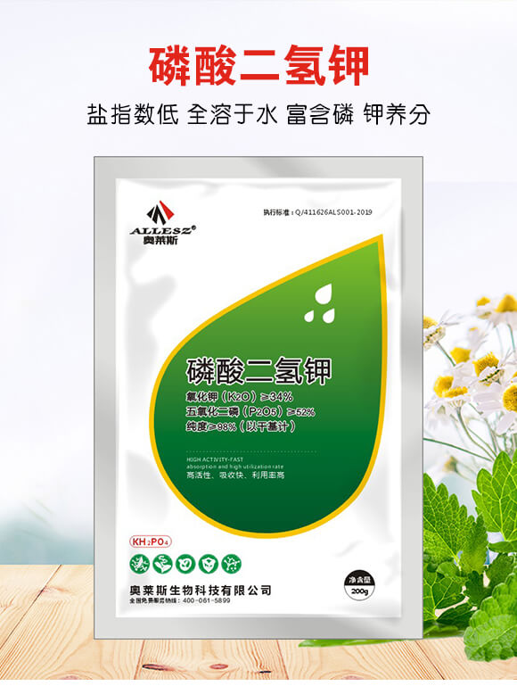 ��������-�W�R˹_01