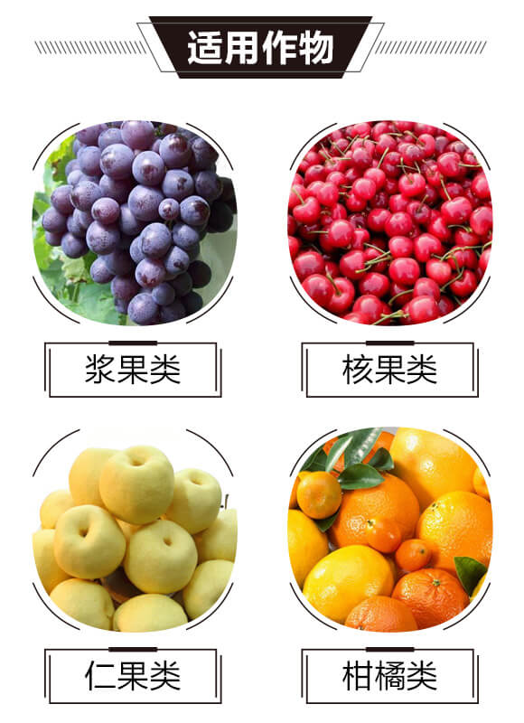 ̼?x��)�˷?�t���T-̼?x��)���H_03