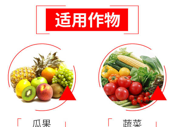 ̩ɭ�x��-1%�װ������S���ر������}-���G�r(n��ng)_06