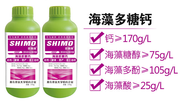 ��������}-��ķ�W-�����S_02