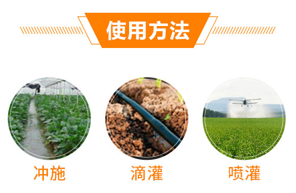 ����ֲ��ˮ�ܷ���-���-��ɫ���B(t��i)_06