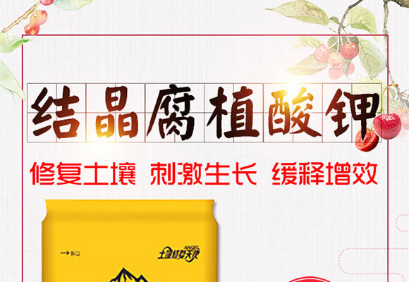 �Y(ji��)����ֲ���-����һ̖(h��o)-��ɫ���B(t��i)_01