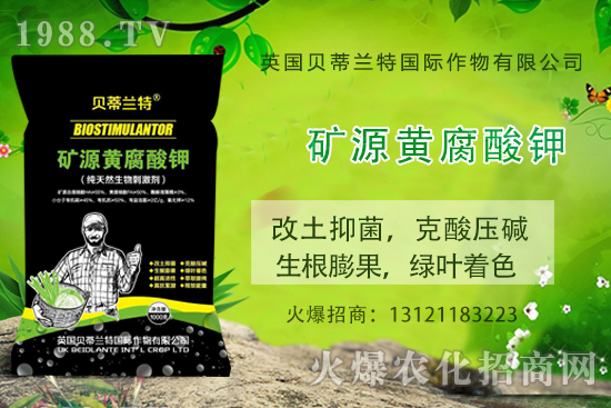 ���ܹ���ô�N�����ܹϷNֲ��(y��ng)ԓע����Щ���(xi��ng)��