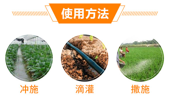 ���Y(ji��)���x(ch��ng)��Ч̎�턩-��������_07