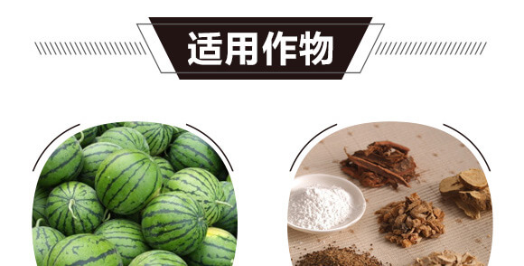 ̼��˷�-�{���T-̼����H_05