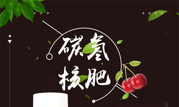 ̼��˷�-�{���T-̼����H_01