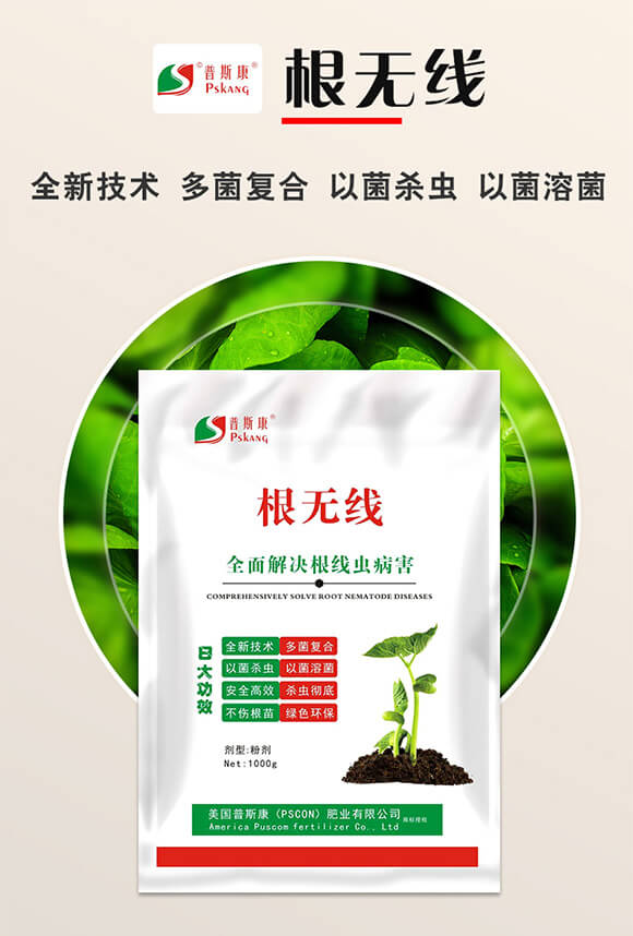 ���o��-��˹��_01