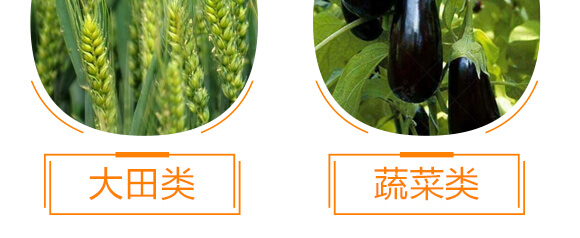 ����Ԫ��ˮ�ܷ���10-35-10+TE+C-�֠���(y��u)_11