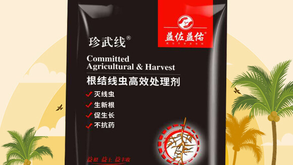 ���Y(ji��)���x(ch��ng)��Ч̎�턩-��������_02