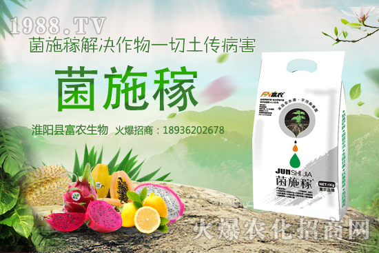 2020���r(n��ng)��NҰ��ٍ�X(qi��n)�����x����ЩҰ��Ʒ�NЧ��ߣ����h�ղ���