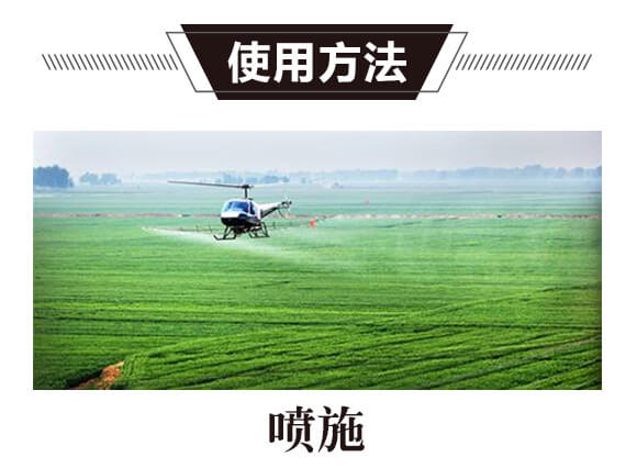 ̼��˷�-�{���T-̼����H_11