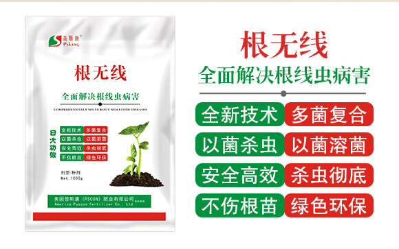 ���o��-��˹��_02