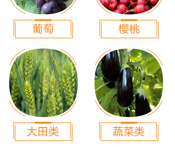 ���׳��00-400-500-����ϲɫ-ϲ�ϼ�_07