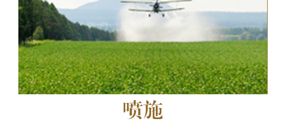 ��ˎ�����߮�(d��ng)�w��(zhu��n)��-����ֲ��ˮ�ܷ�-�����r(n��ng)��_12