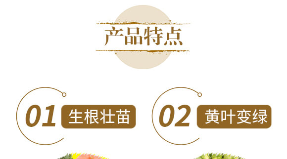 ��ˎ��ɽˎ���ߌ���-����ֲ��ˮ�ܷ�-�����r(n��ng)��_06