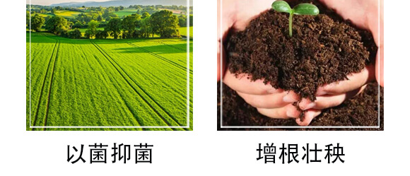 �S���������ЙC����-С����-�r��һ_07