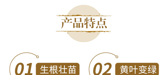 ��ˎ�����߮�(d��ng)�w��(zhu��n)��-����ֲ��ˮ�ܷ�-�����r(n��ng)��_05