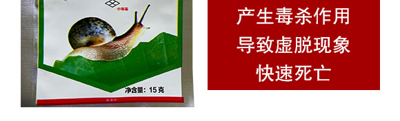 80%�ľ���ȩ��15�ˣ�-�p��-�P�Z����_04