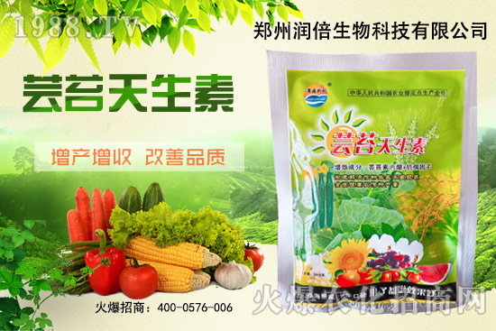 �S�B������ô�������S�B���ڲ��x�����Σ�