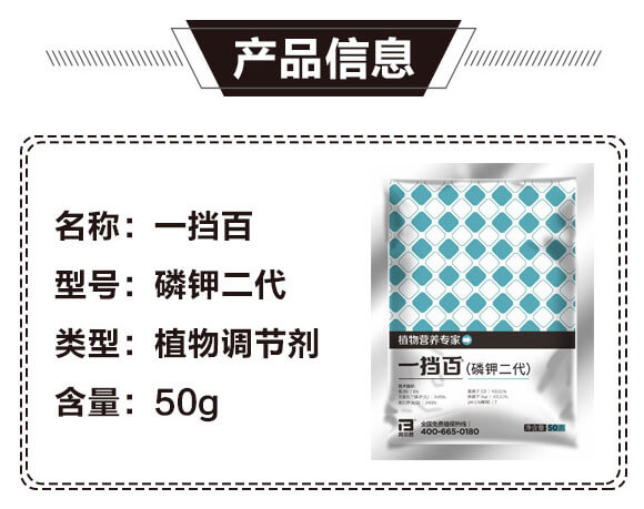 ��⛶���-һ����-�̩_03