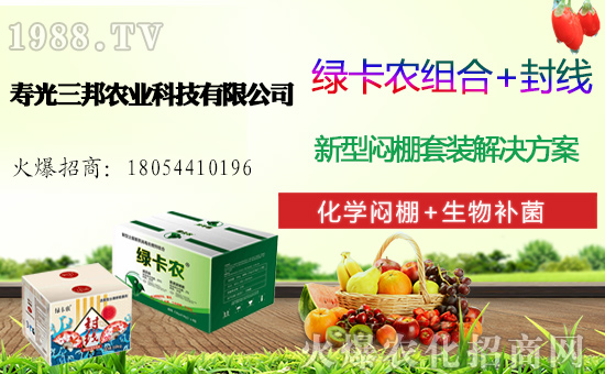 白菜多少錢一斤,一畝地產(chǎn)多少斤白菜,白菜種植前景及利潤(rùn)分析!