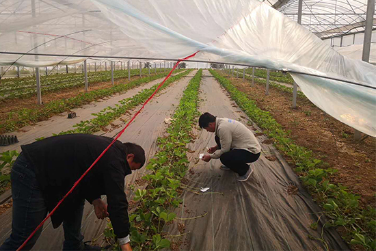 ��ݮȫ�a(ch��n)�I(y��)朷���(w��)��