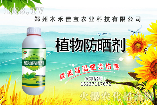 ������Nֲ����Ҫ�c(di��n)����Щ�����������Է�����