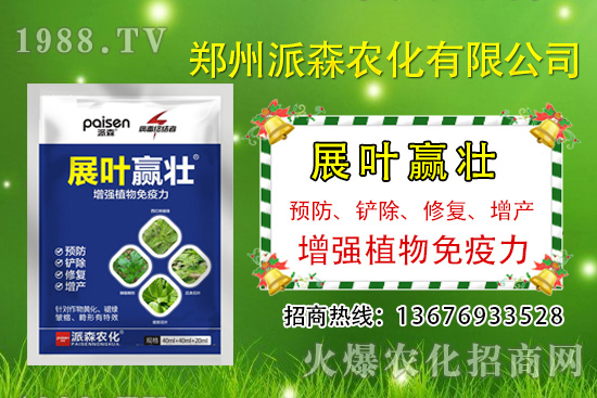 �²�ʲô�r�򲥷N���²��Ј�ǰ����Σ����Nֲ�ɱ�������������