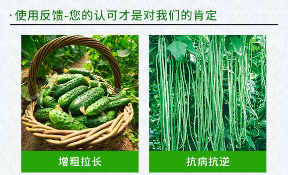 黃瓜、豆角專(zhuān)用含氨基酸水溶肥料-伊力奇-科德寶2