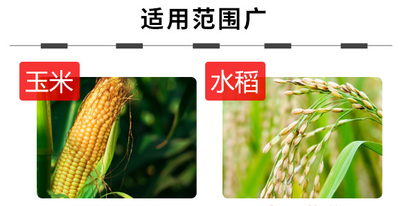 ֲ�ﵰ�׻���ø-������-�W�S�ʘI(y��)3