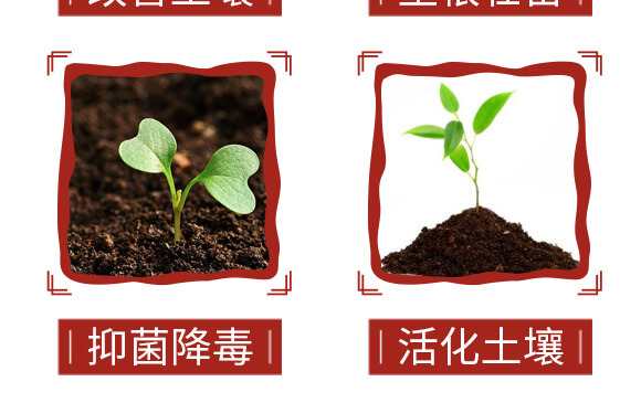 ϡ��΢�������-���ܴa-ؐ��_07