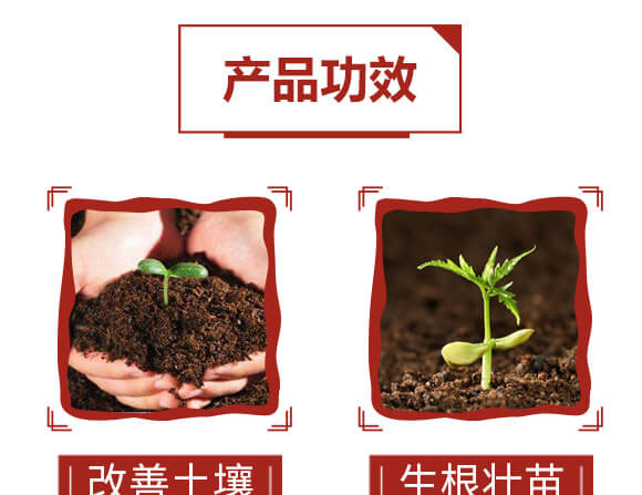 ϡ��΢�������-���ܴa-ؐ��_06