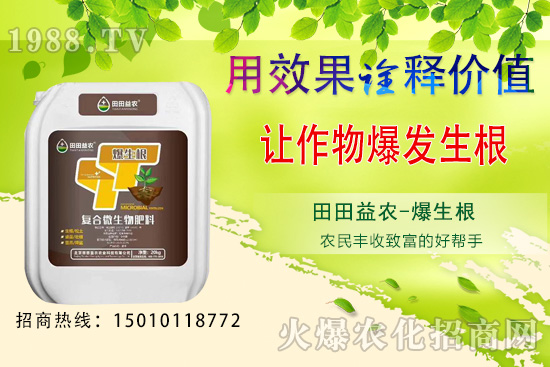 ���¿��ԷNֲ���߲�����Щ�����·N�߲˹���Ҫ�c��